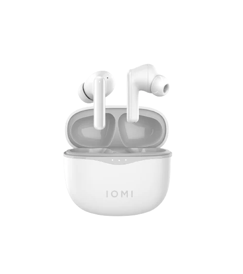 In-Ear Active noise cancelling earbuds (wit)